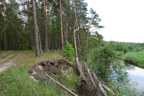 Велижка