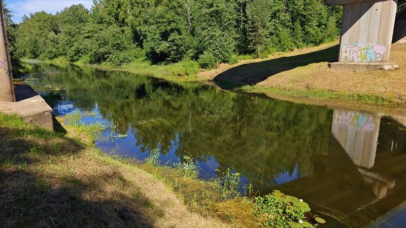  подход к реке